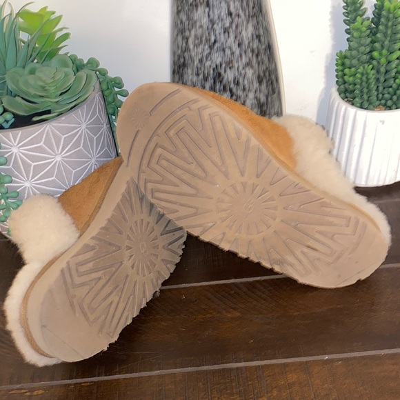 3/$60 UGG Disquette Chestnut Shearling Lined Mules Size 7 - Picture 9 of 15